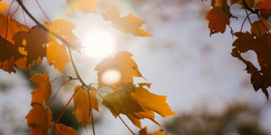 SPF восени: чому сонцезахисний крем потрібен не лише влітку