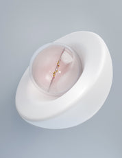 Orgahue Преміум-шот для відновлення шкіри, 10 мл - Orgahue Premium Celltox