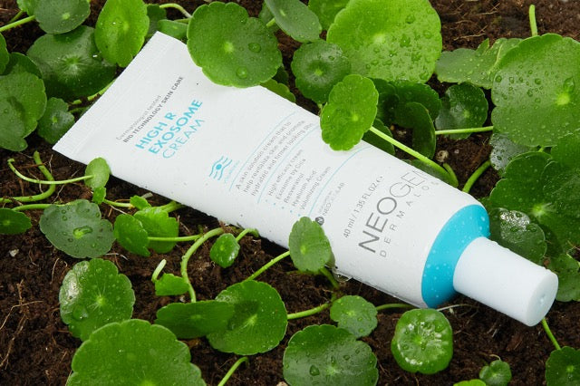 Крем NEOGEN High R Exosome серед центели азійської – природне джерело екзосом для шкіри